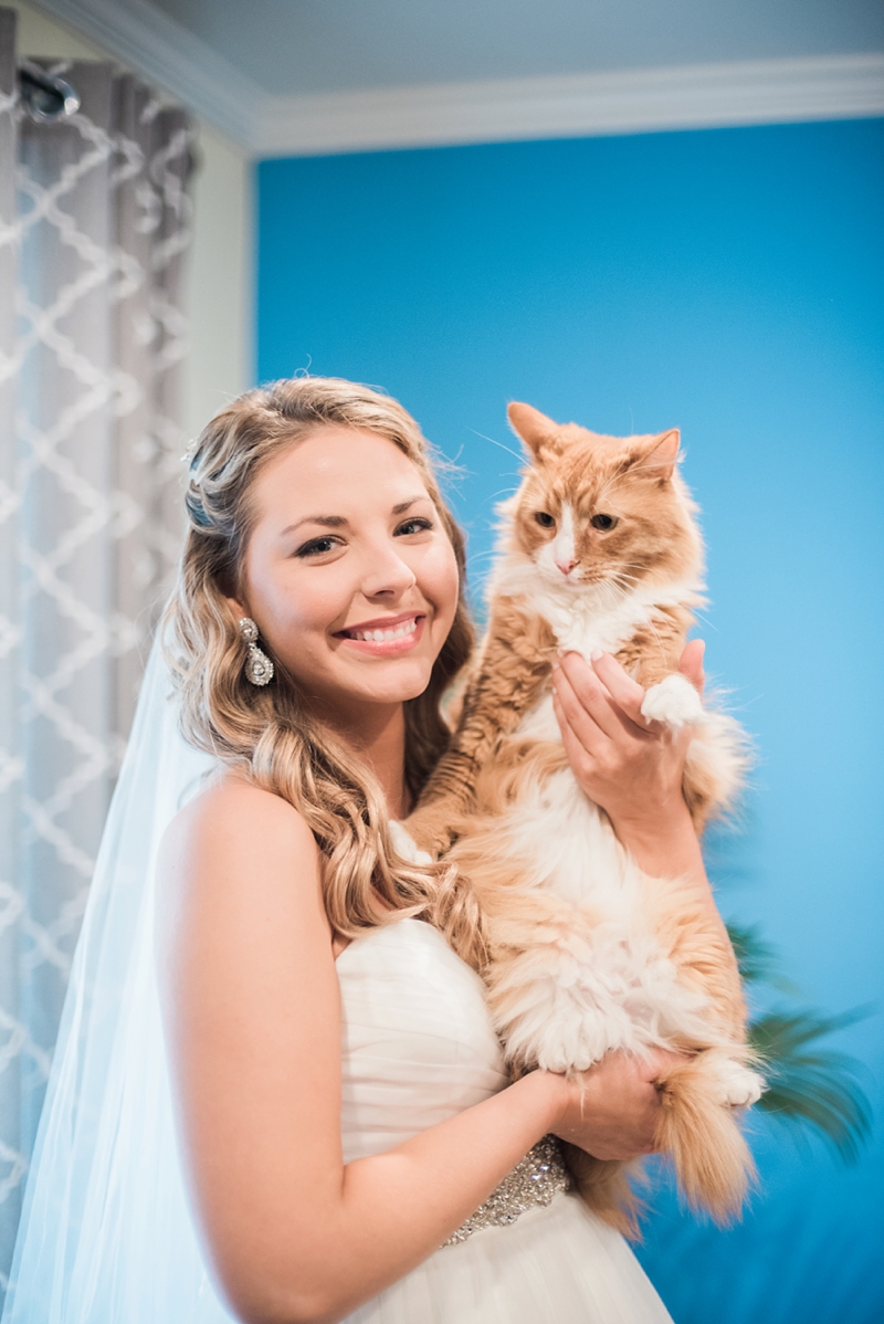 bride and cat